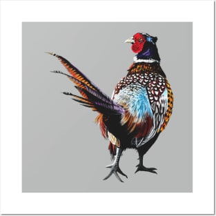 Ardler the Pheasant Posters and Art